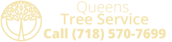 Queens Tree Services