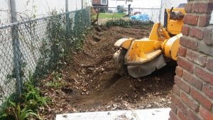 stump removal in queens